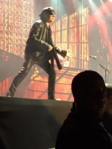 Sécurité Concert Scorpions 1