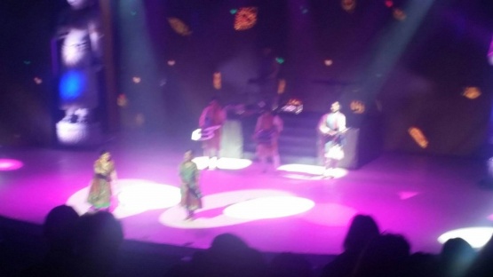 Agence sécurité évènementielle concerts sparte 36