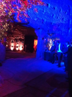 Agence sécurité évènementielle concerts sparte 19