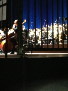 Sparte agence sécurité événementielle